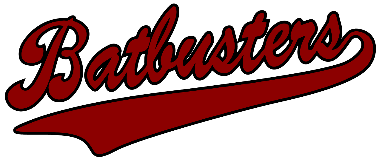 Batbusters