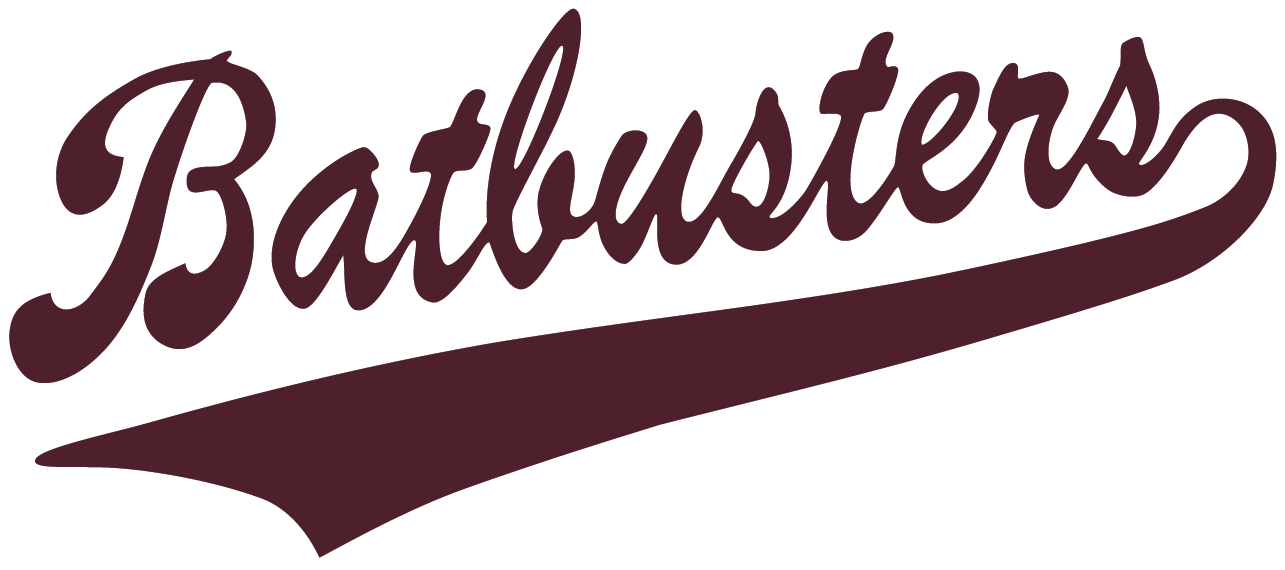 NW Batbusters